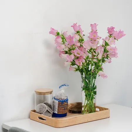 Apartamento Gezellig 2 Kamerappartement In Dicht Bij En Natuur! *